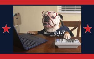 military family financial tools being used by a bulldog in a tshirt for The Edge