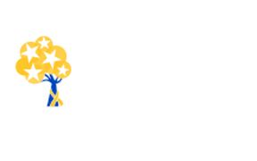 Military Family Advisory Network